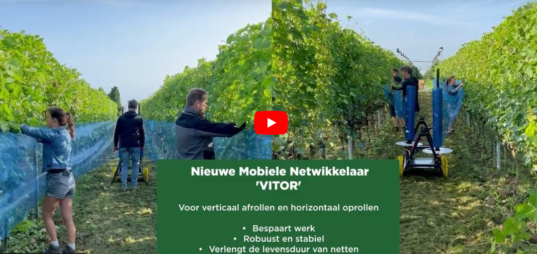 Video laden: Onze wijnbouwnetten in de wijngaard + horiontaal en verticaal afrollen